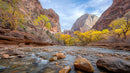 Autumn in Zion National Park with Vibrant Yellow Trees