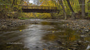 Autumn Stream Under Wooden Bridge in Tranquil Forest