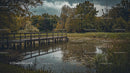 Tranquil Wooden Bridge Over Serene Pond in Autumn