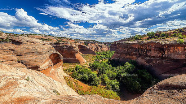 Stunning Desert Canyon with Lush Greenery and Blue Skies