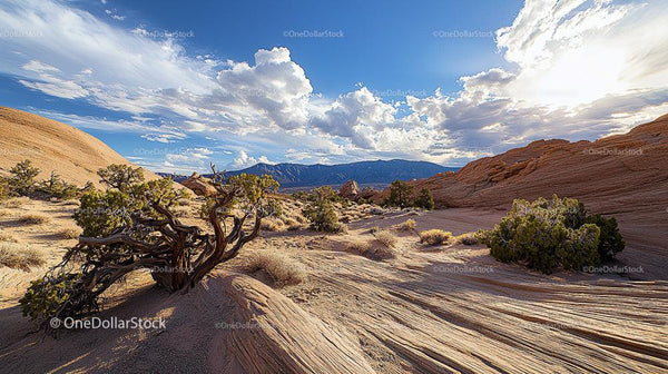 Desert Landscape with Dramatic Clouds and Rocky Terrain