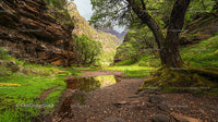 Tranquil Valley with Lush Greenery and Rocky Cliffs