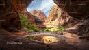 Stunning Canyon with Reflective Pool and Lush Foliage