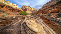 Majestic Red Rock Canyon with Striking Sandstone Formations