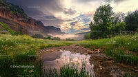 Tranquil Sunrise Over Lush Meadow and Rocky Mountains