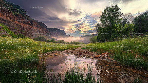 Tranquil Sunrise Over Lush Meadow and Rocky Mountains