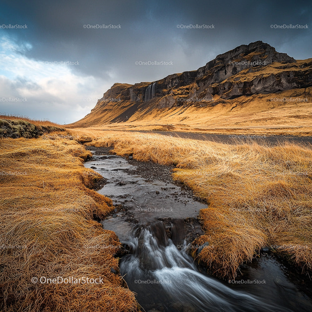 Golden Grass and Majestic Cliffs in Serene Landscape
