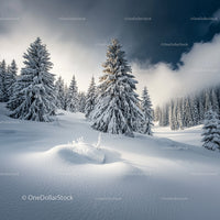 Snowy Pine Forest in a Winter Wonderland Landscape