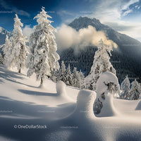 Snow-Covered Pines in Majestic Mountain Landscape