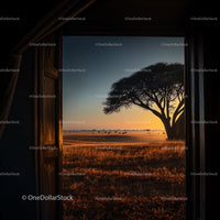 Spectacular Acacia Tree Silhouette at Sunset in African Savanna