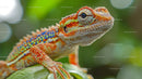 Colorful Chameleon on Leaf in Vibrant Tropical Setting