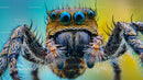 Close-Up of Jumping Spider with Vibrant Eyes