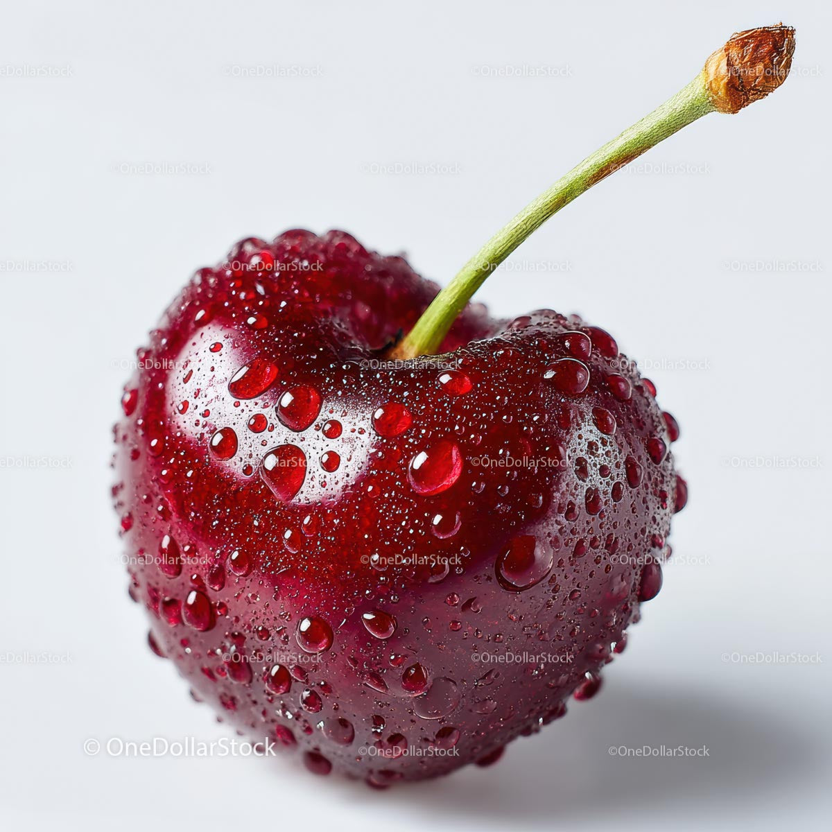 Macro Shot of Fresh Cherry with Water Droplets