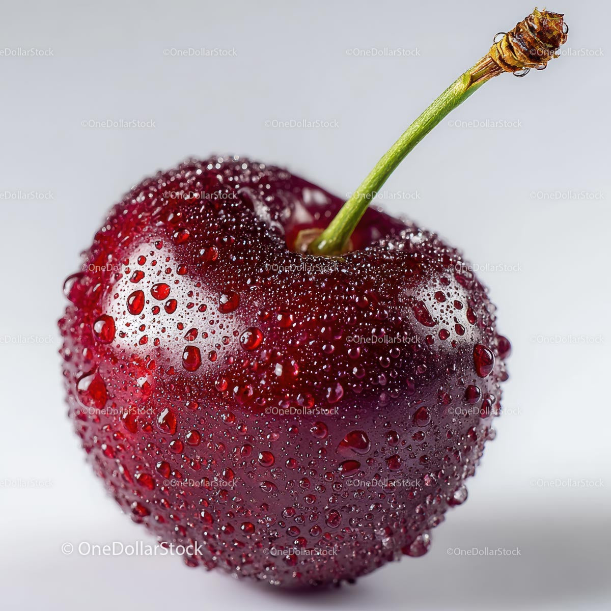 Macro Shot of Dew-Studded Ripe Red Cherry