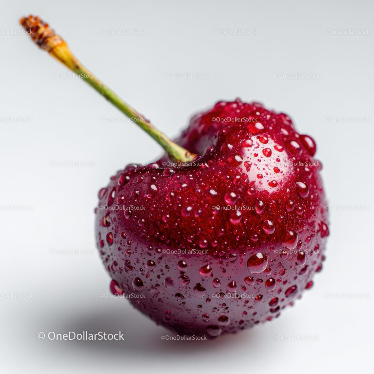 Close-Up of Fresh Cherry with Water Droplets on White Background