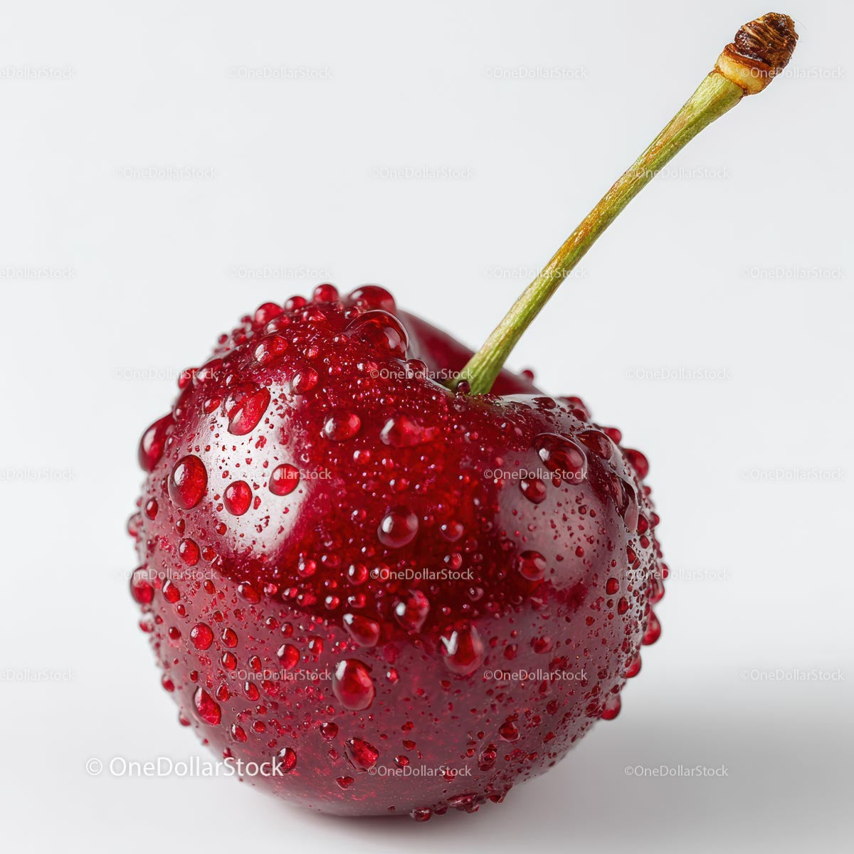 Juicy Red Cherry with Water Droplets on White Background