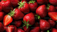 Fresh and Juicy Ripe Red Strawberries