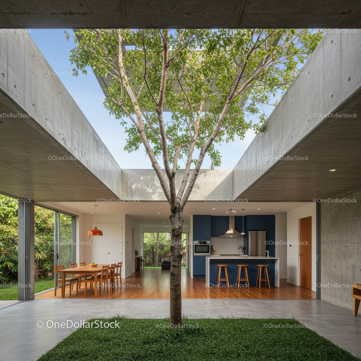 Modern Home with Indoor Tree and Skylit Ceiling