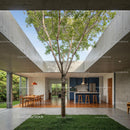 Modern Concrete Structure with Outdoor Dining and Tree Canopy