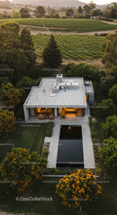 Modern House Amidst Vineyards and Orange Trees at Sunset