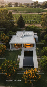 Modern Luxury Home Surrounded by Vineyard and Lush Greenery