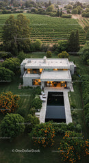 Modern Luxury House with Pool Surrounded by Lush Vineyard