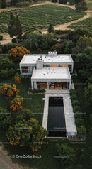 Modern Luxury Home Surrounded by Vineyard and Lush Greenery