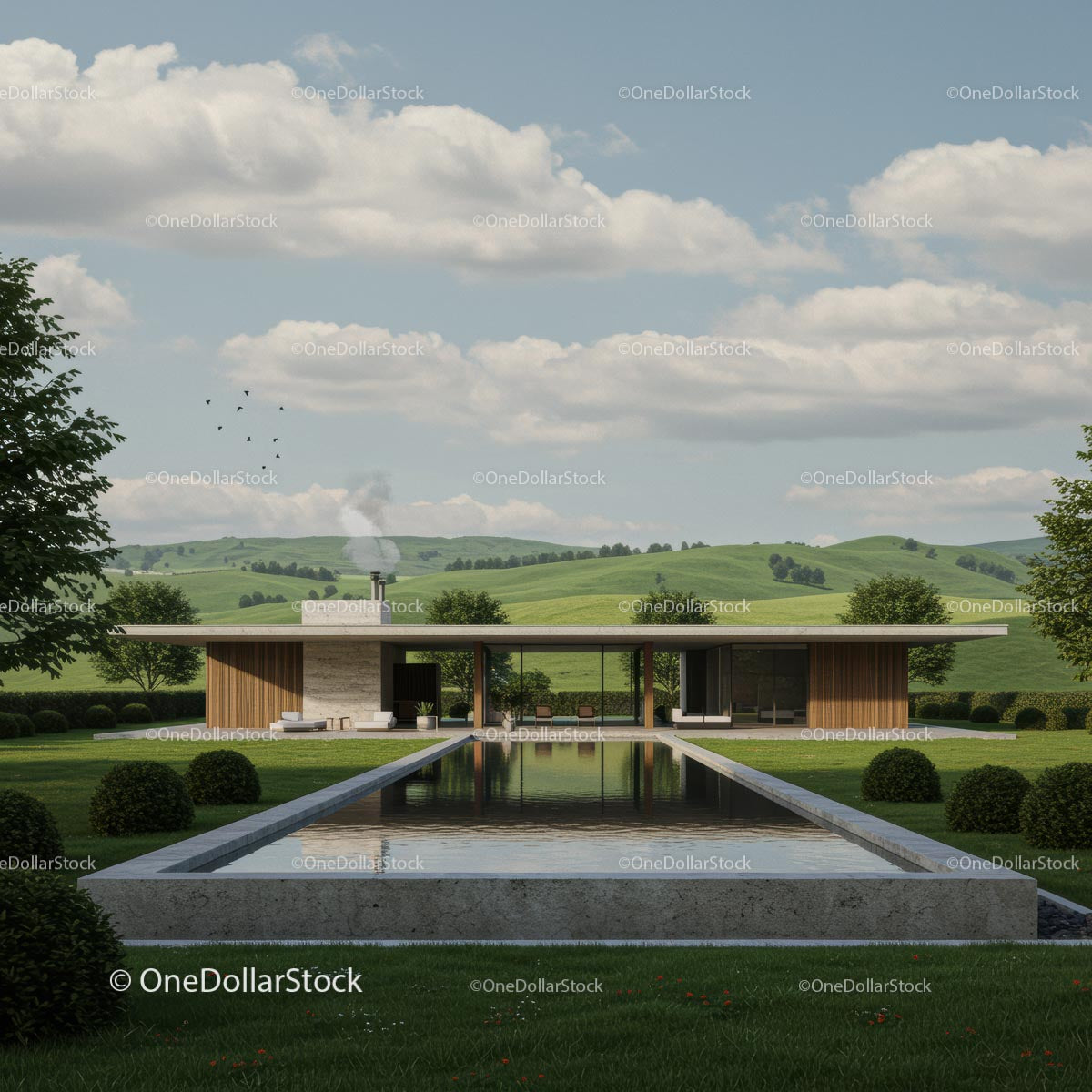 Modern Countryside Retreat with Infinity Pool (15 Images)
