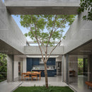 Modern Home with Indoor Tree and Concrete Design Elements