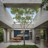 Modern Home with Indoor Tree and Concrete Design Elements