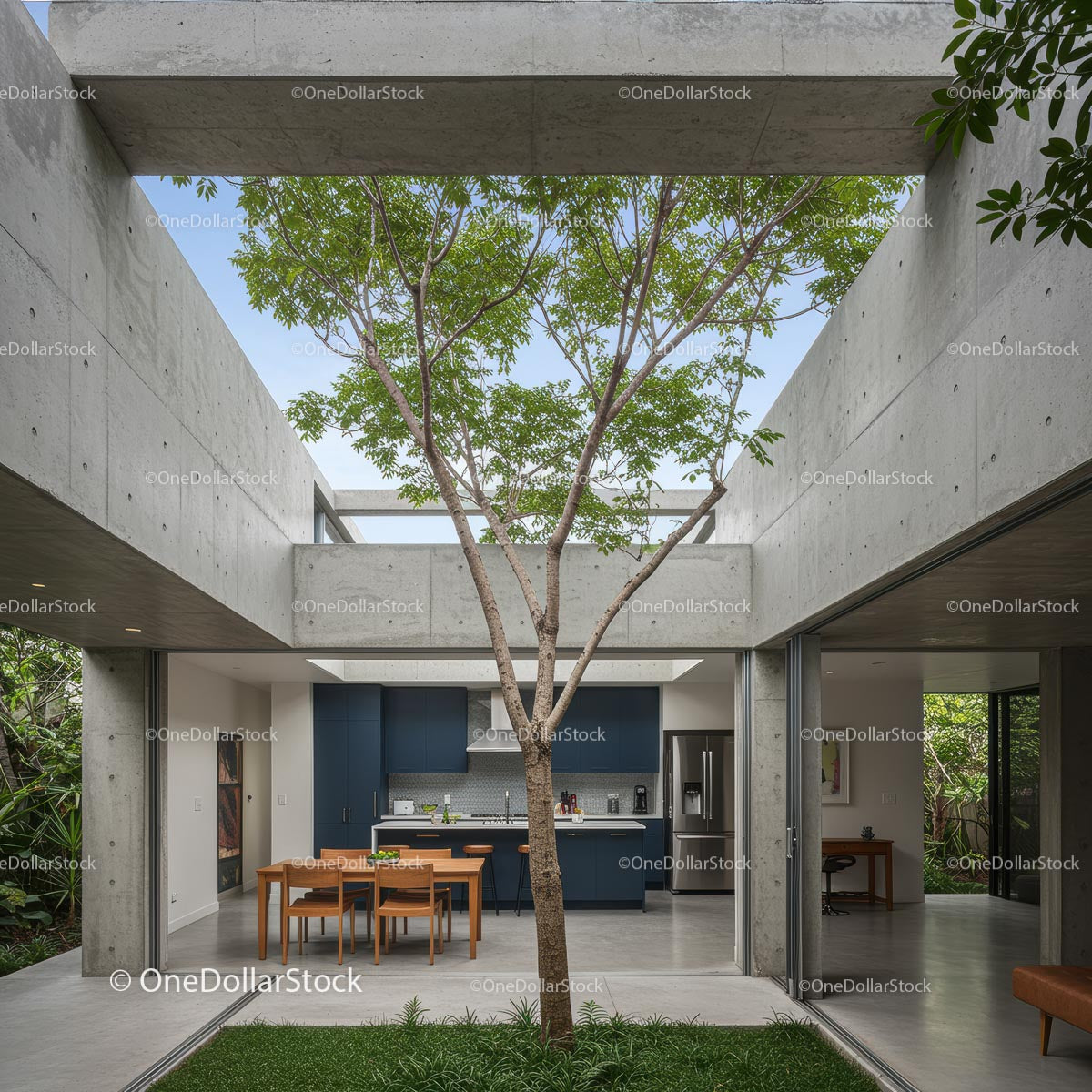 Modern Concrete Structure with Outdoor Dining and Tree Canopy