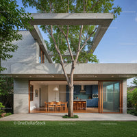 Modern Concrete House with Tree and Open Living Space