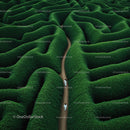 Aerial View of Green Maze with Winding Path