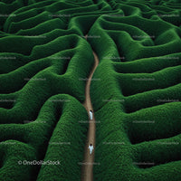Aerial View of Green Maze with Winding Path