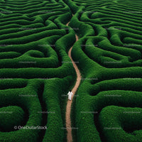 Aerial View of Woman Exploring Green Maze Pathway