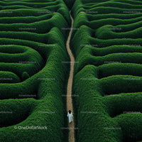 Solitary Walk Through a Lush Green Hedge Maze