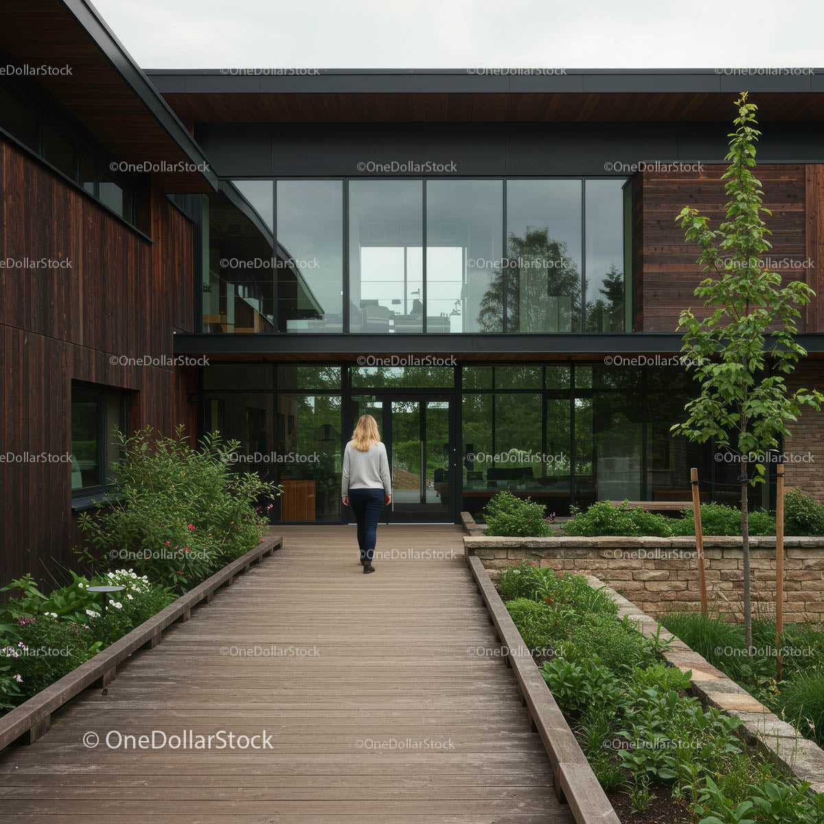 Contemporary Building with Lush Garden Pathway
