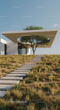 Modern House with Rooftop Garden and Outdoor Steps