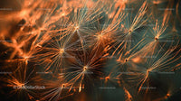 Macro Close-up of Delicate Dandelion Seeds
