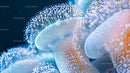 Close-Up of Vibrant Blue Jellyfish in Ocean Waters