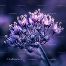 Stunning Close-Up of Purple Blossoms in Evening Light