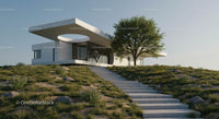 Modern Minimalist House with Large Tree and Green Landscape