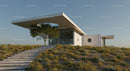 Modern Concrete House with Integrated Tree on Hillside