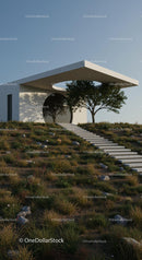 Modern Minimalist Home with Tree in Natural Setting