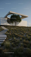 Modern Architectural Design with Integrated Tree