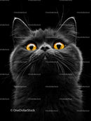Close-Up Portrait of Black Cat with Yellow Eyes