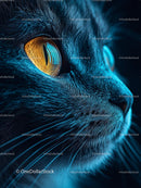 Close-Up of a Cat's Face with Vibrant Orange Eyes