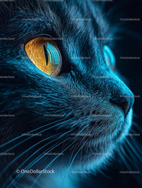 Close-Up of a Cat's Face with Vibrant Orange Eyes
