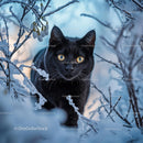 Black Cat with Yellow Eyes in Snowy Winter Landscape