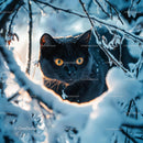 Black Cat with Bright Eyes in Snowy Winter Wonderland